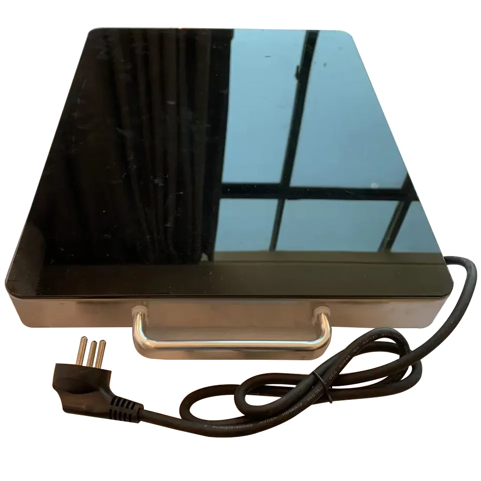 Party Warmer Heating Mini Electric Food Warming Plate Black Metal X7 Required Temperature Control Stailess Steel Bruno Hot Plate