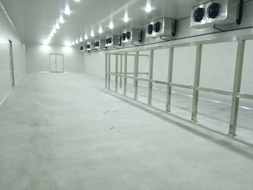 100T fruit and vegetable cold room storage with high quality compressor and long service life