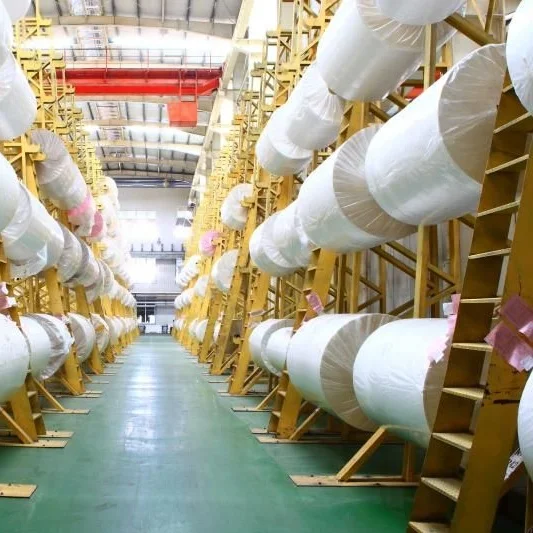 Термобумага jumbo coil 55 г 120 см x 6000 м