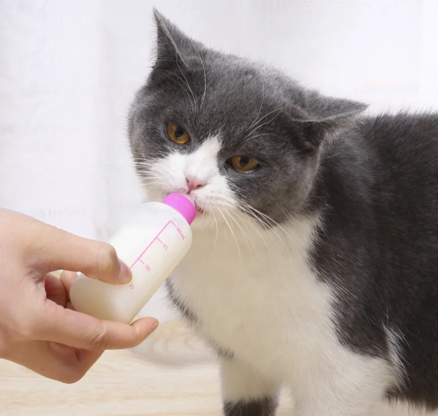  Зоотоваров Pet Удобная молока подачи бутылочки Кошка Собака Щенок бутылочка для кормления домашних животных ниппель 60 мл комплект из 7