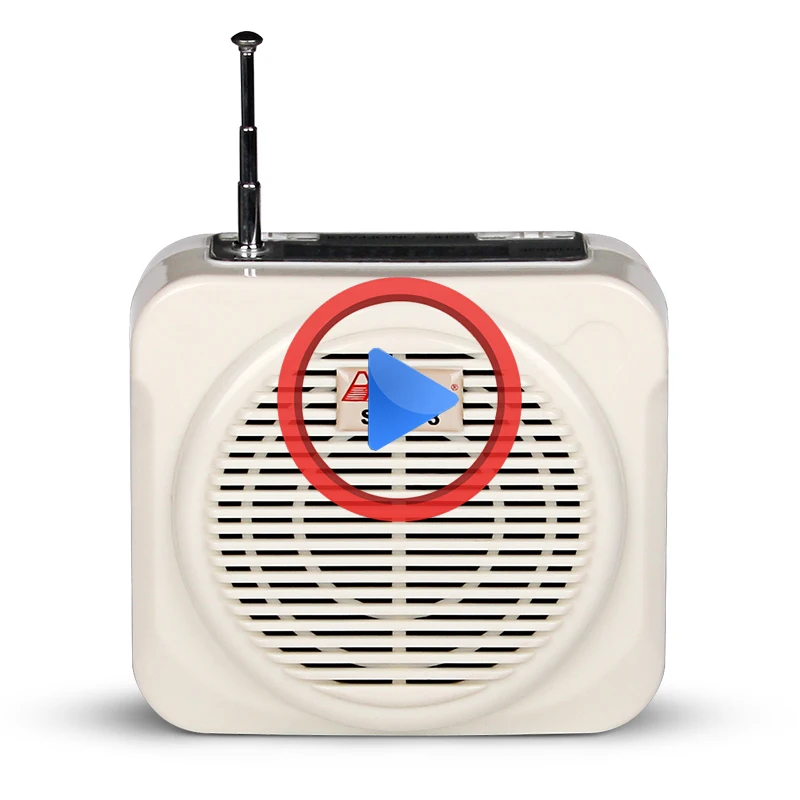 Портативный беспроводной усилитель pa для преподавания, dj, караоке-плеер, звуковая система для преподавания