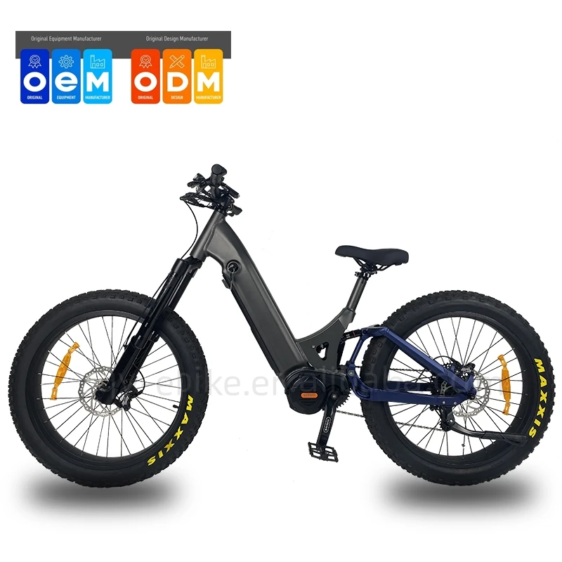 QUEENE/NEW Arrival High Performance 48V750W 1000W Mid Drive Motor Electric Mountain Bicycle For Women