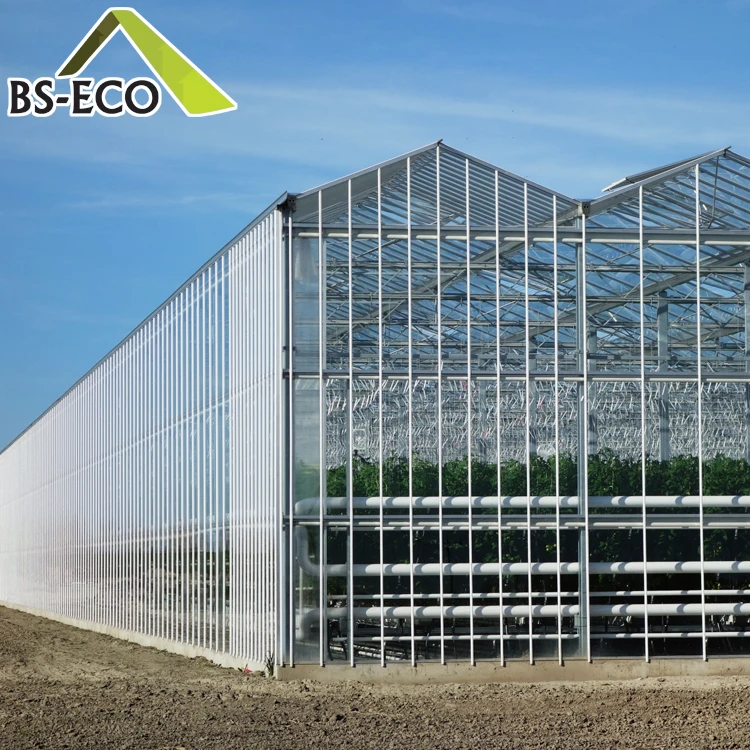 Multi-span glass greenhouse planting vertical farming Nft hydroponic system for tomato lettuce growing