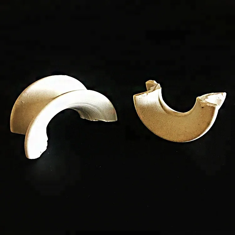 25mm 38mm 50mm 76mm Ceramic Pall Ring for Water Treatment