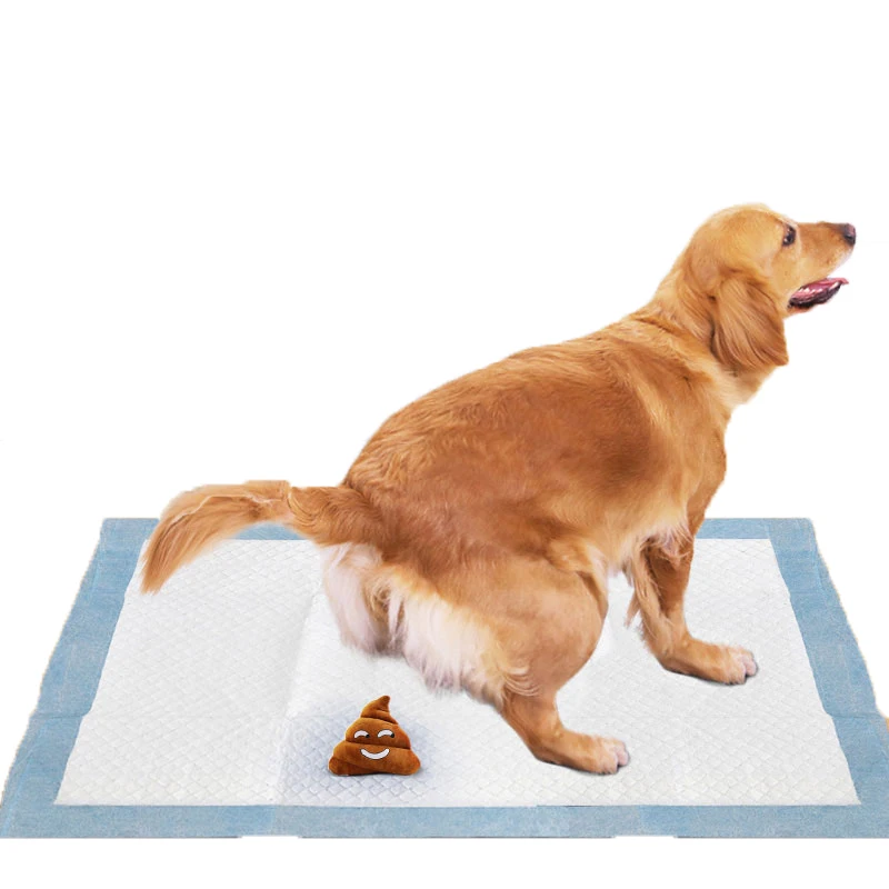 Legend Pet Toilet Training Pads 60*60 Eco Friendly Puppy Training Pads