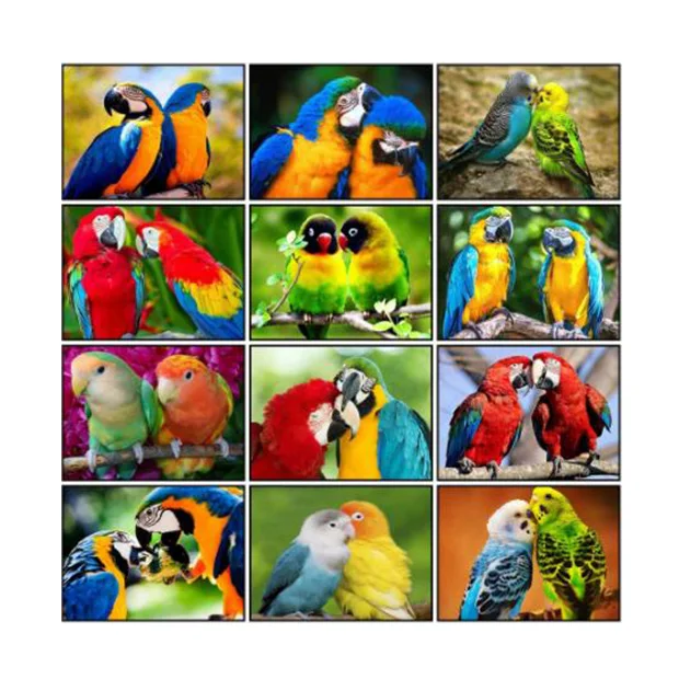 Алмазная 5D мозаика в виде попугая, полноразмерная круглая Вышивка крестиком, для творчества, украшение для дома, подарок ручной работы