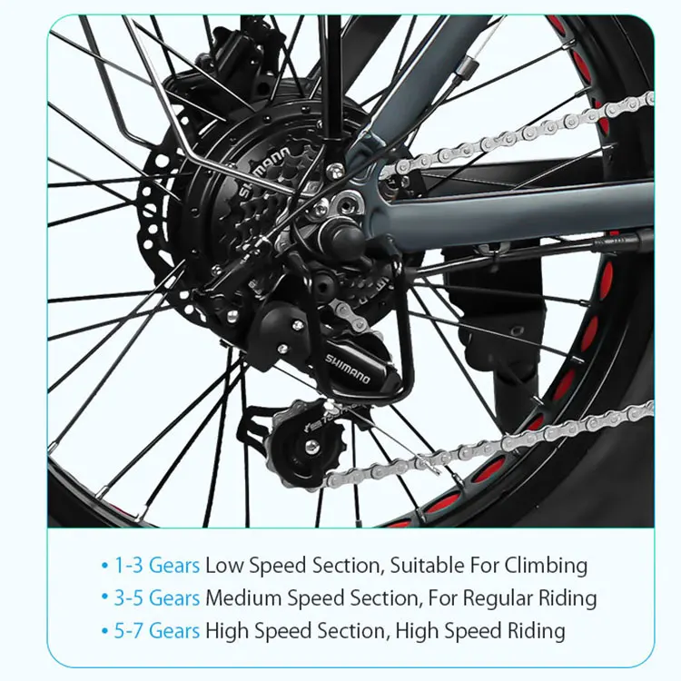 Оптовая Продажа с завода 20 дюймов 48 В 250 Вт электровелосипед Fatbike складной литиевой батареей 10 А/ч светодиодные фонари для взрослых велосипедов