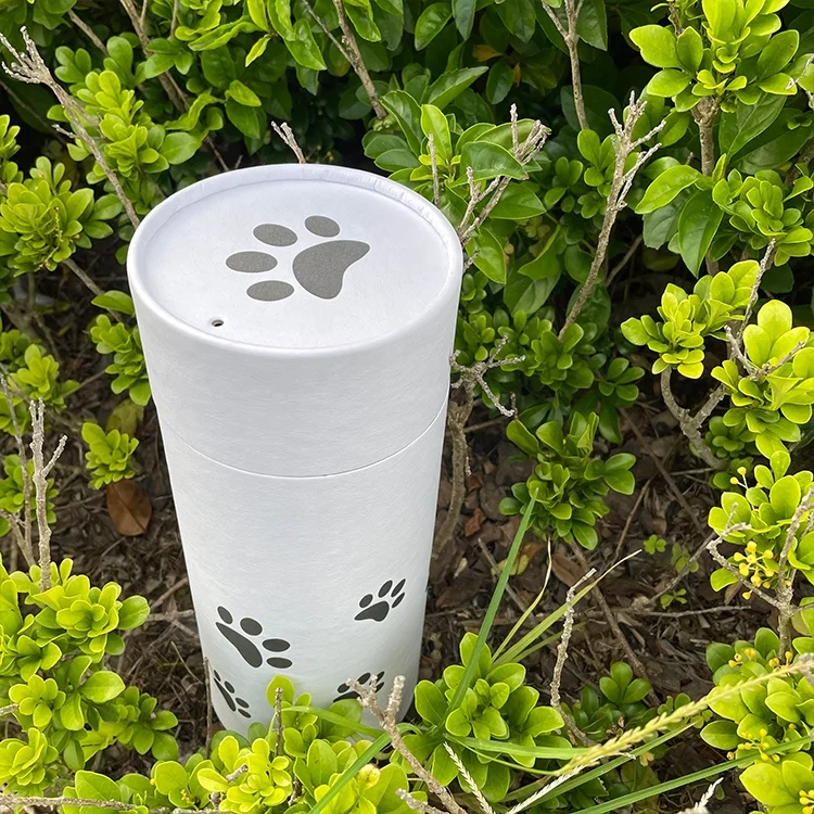 Biodegradable paper tube packaging cat paw printed pet urn cremation ashes animal coffin casket outdoor water river
