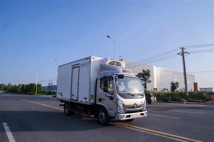 Foton Aoling E 4.2 Meters 18 Degree Frozen Cargo Box 5 Tons Load Refrigerator Truck New Diesel Manual Automatic Euro 5