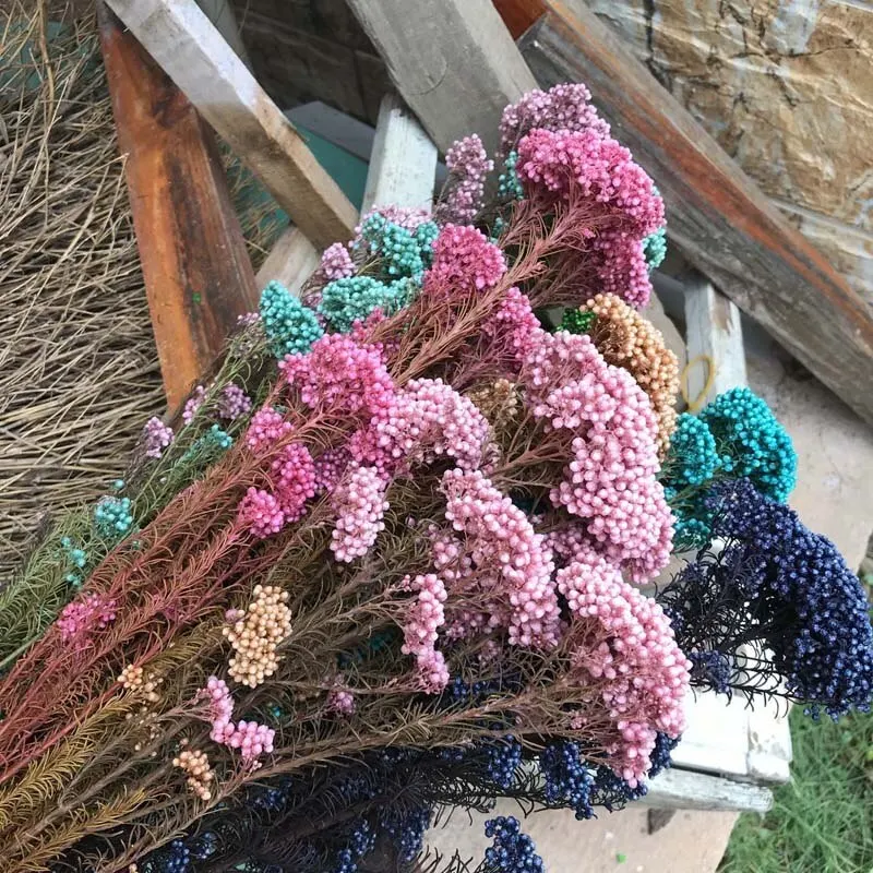 Сохраненный цветок из проса для изготовления букетов и домашнего цветочного композиции, сохраненный рисовый цветок