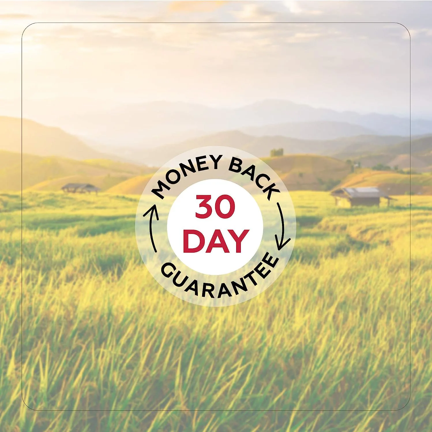 Wholesale Organic Ashwagandha Ksm 66 Root Extract Liquid Ashwagandha Cognitive Function And Focus Booster Liquid Drops