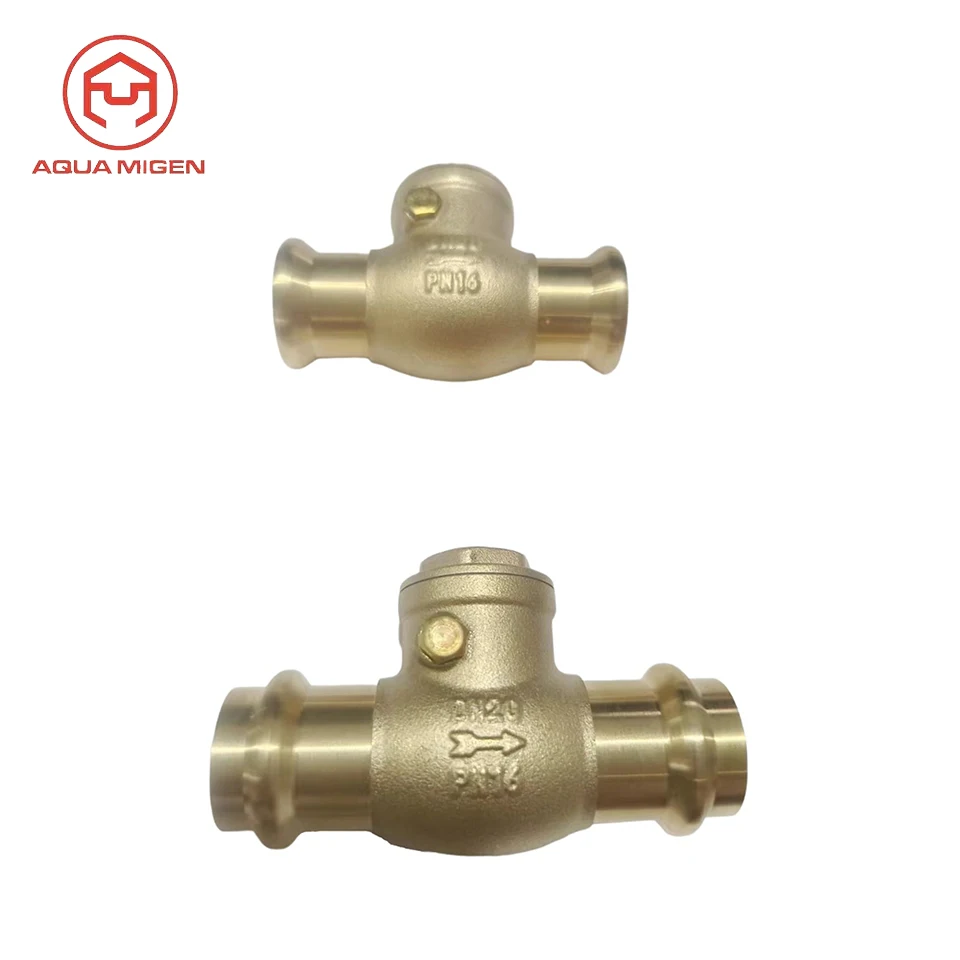 PN16  Connect Thread Of Check Valve Sanitary Pipe Fitting Double Clamp Quick