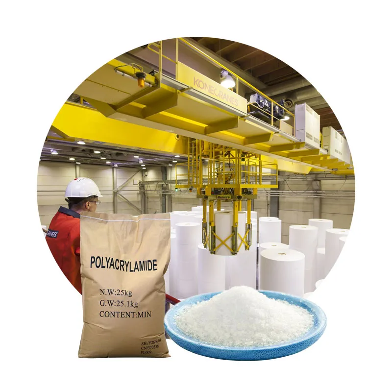 WELLDONE Polyacrylamide for Paper Anionic Cationic Polyacrylamide (pam) Industrial Grade 99-100% Polyacrylic Amide
