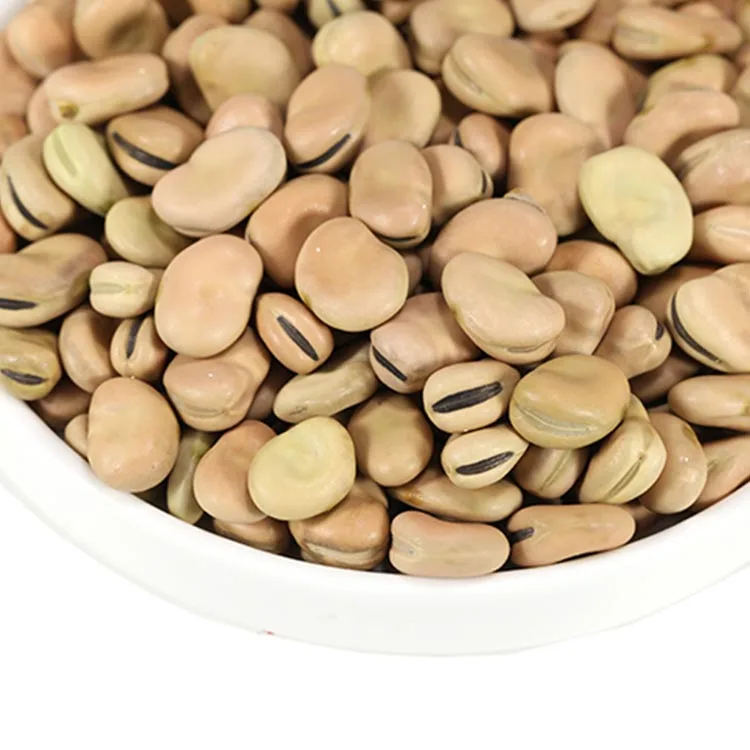 2021 new crop high quality   dry brown broad beans