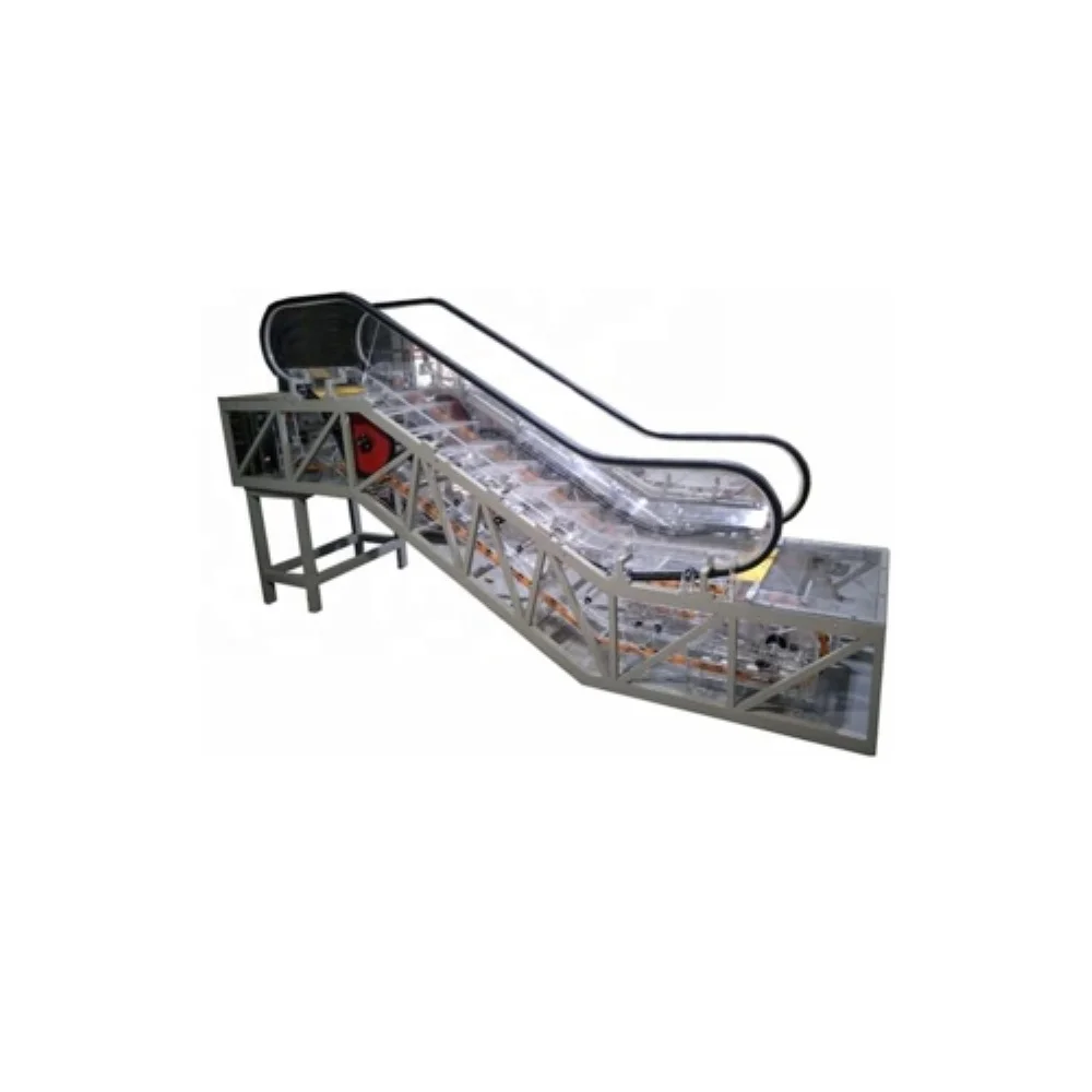 Escalator Training Equipment Educational School Laboratory Equipment Educational