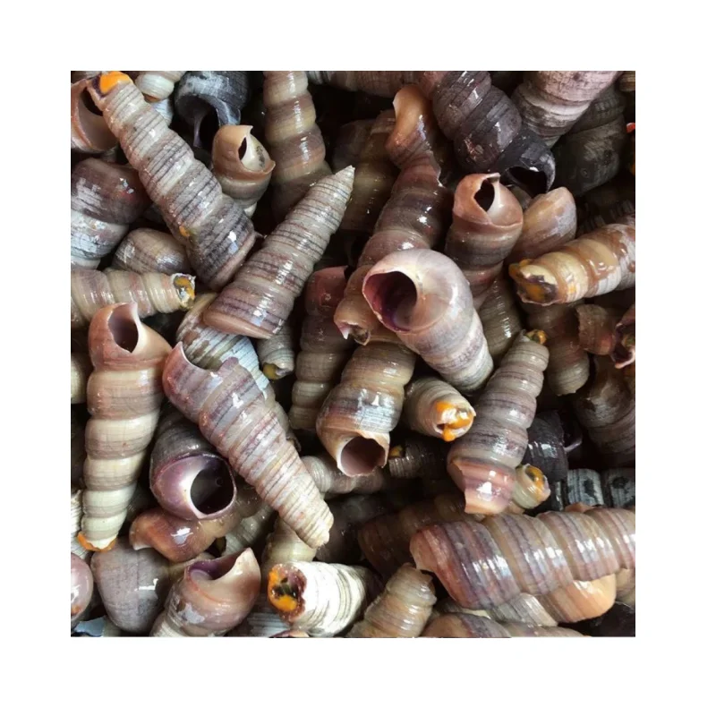 Машина для резки речной улитки/улитки Viviparus winkles