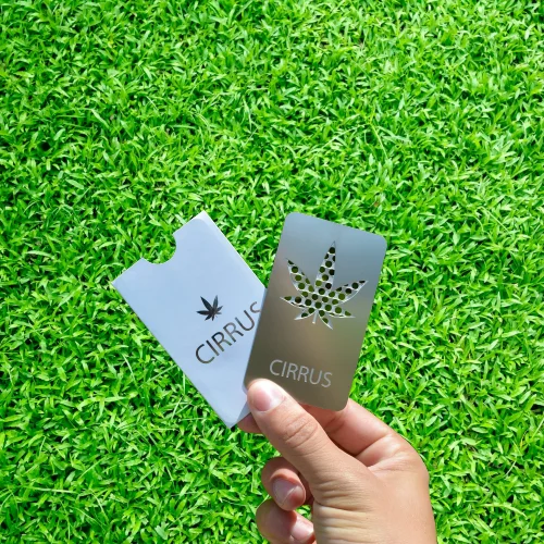Самый дешевый Пользовательский логотип размер кредитной карты трава изящная открывашка для карт металлические визитные карточки с бумажными