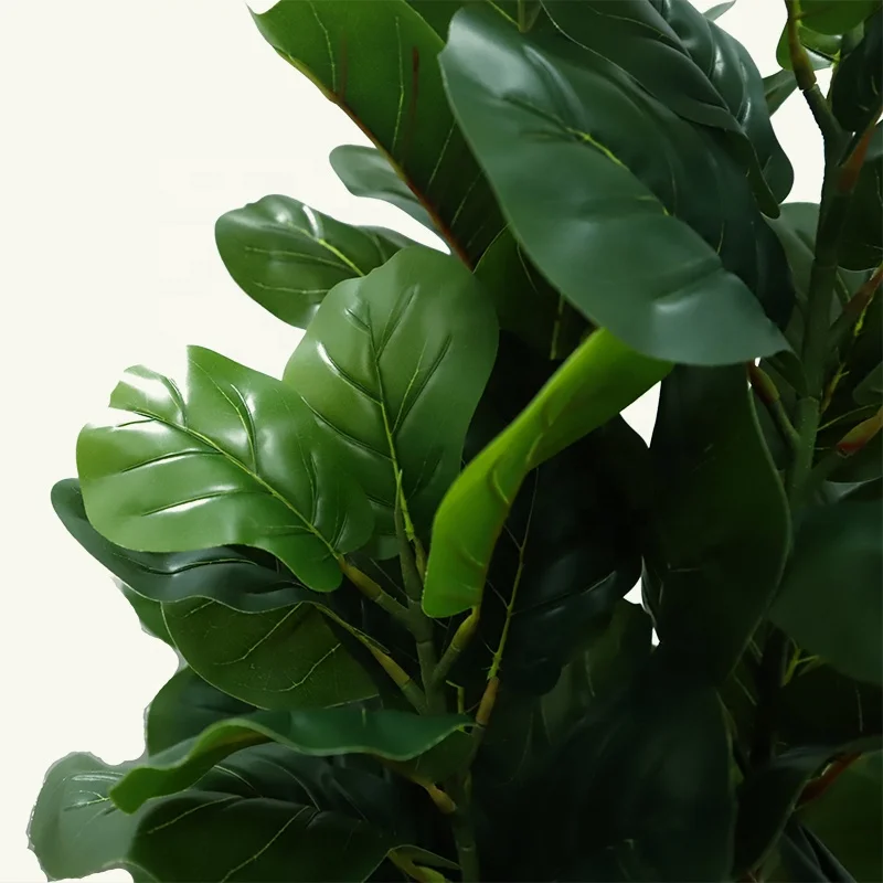 Gourd Leaves Plants Selling Bonsai Online Natural, Artificial Plant With Pots