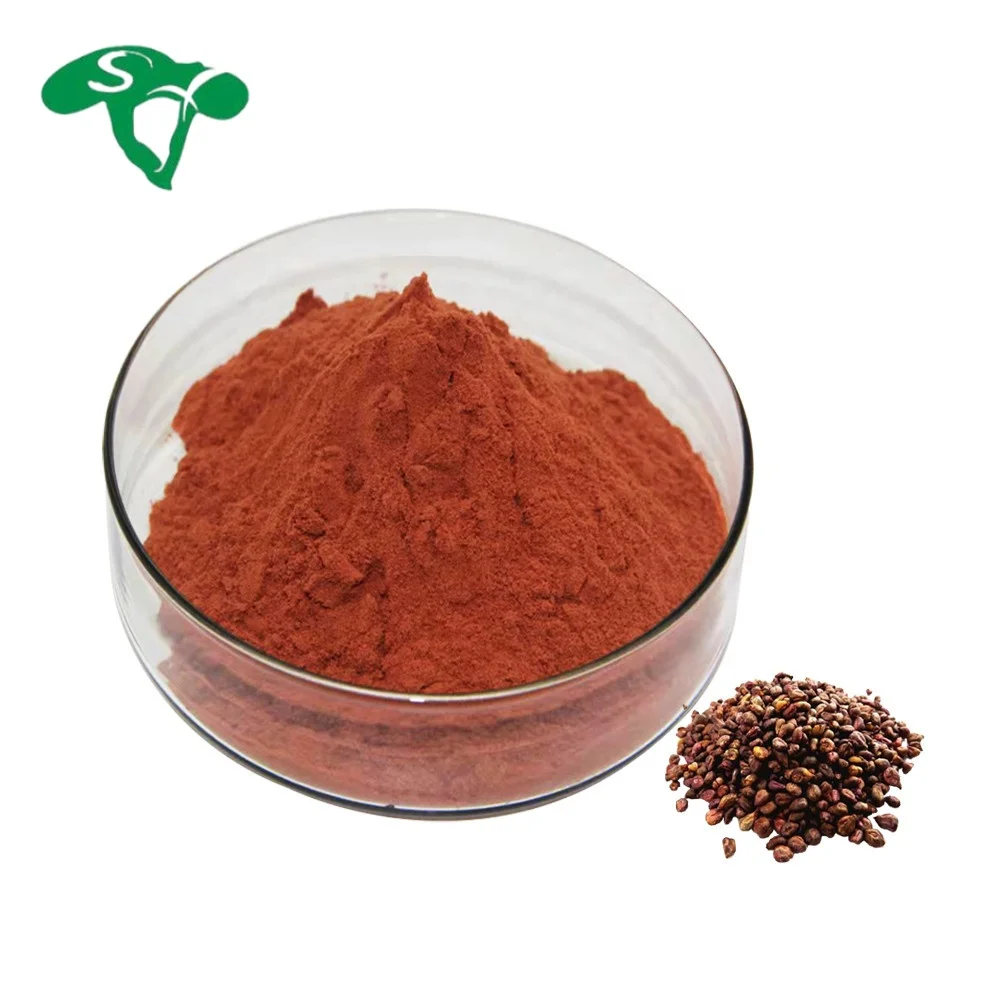 Wholesale High Quality 100% Pure Proanthocyanidins 95% Grape Seed Extract