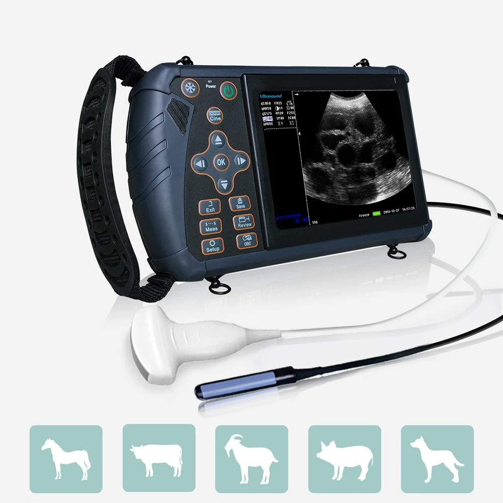 Petiro S1 Ultrasound Scanner For Equine Diagnostic Ultrasound Equine Pregnancy Test Handheld Veterinary Ultrasound