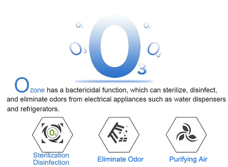 Professional Air Ozonizer Sanitize Drinking Fountain Toys Refrigerator Ozono Machine Ozone Generator for Drinking Water