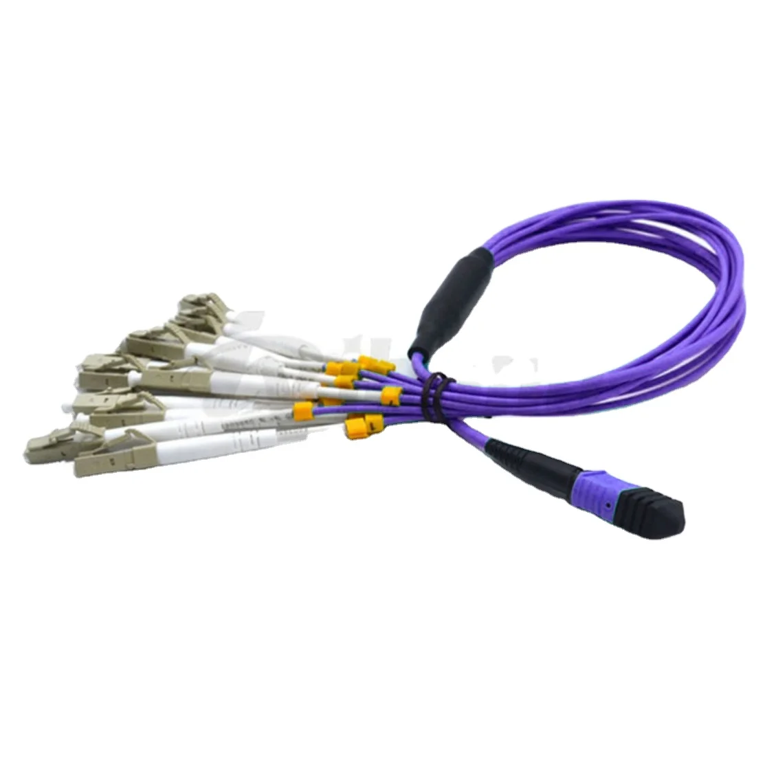 Factory Price  Fiber Optic Patch Cord 100G MM OM4 MPO/MTP-LC 24cores Fanout Jumper