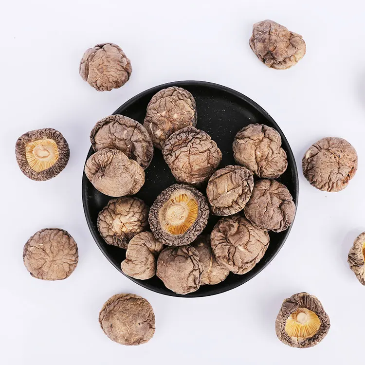 Organic Grown Nutritious Thick Edible Fungus Dried Shiitake Mushrooms