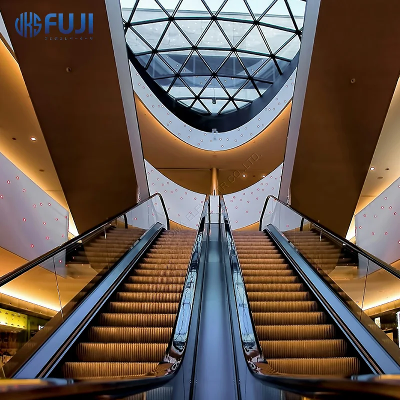 China Manufacturer Residential Home Mini Small Escalator Supermarket In Home Escalator For Home