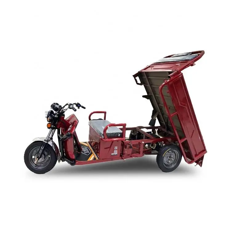 Strong 30 Degrees Climbing Electric Tricycle for Men Cargo Used Cars Auction in Japan