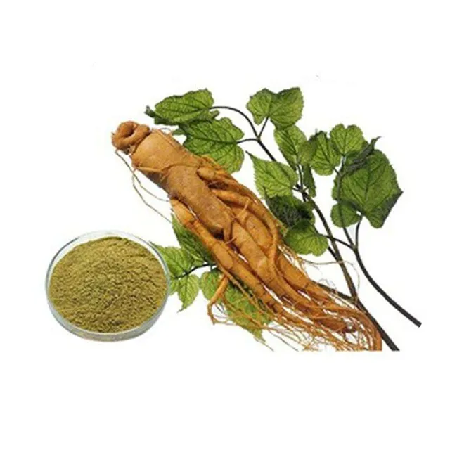 Sale Ginseng Extract Powder 5% 25% 50%  Ginsenosides in bulk