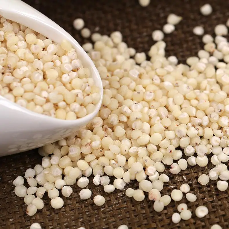 Good quality hot sale sorghum rice for sale