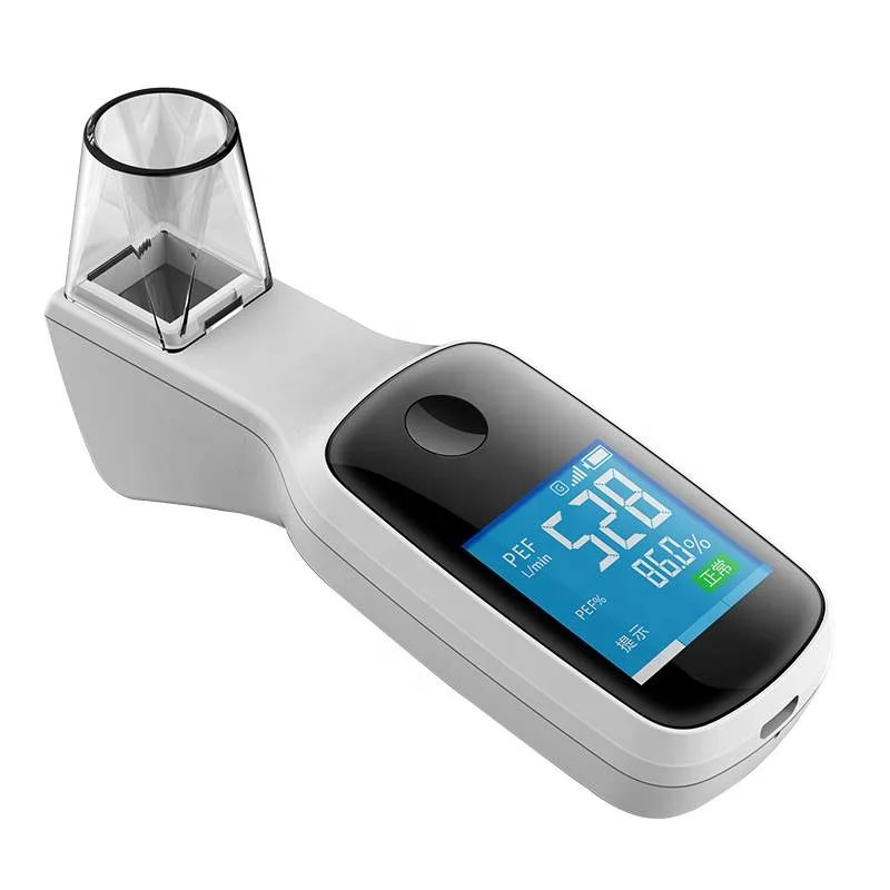 New product NS-B1 Color Display USB Portable Digital smart