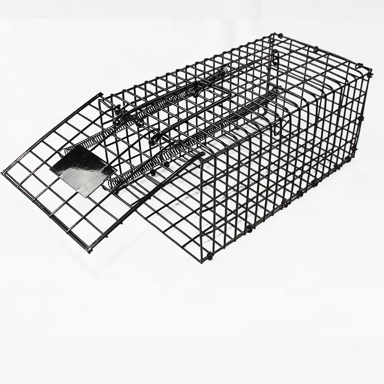 Trap Animal Hunting Equipment Animal Trap Laboratory Rat Cages Bird Trap Cage