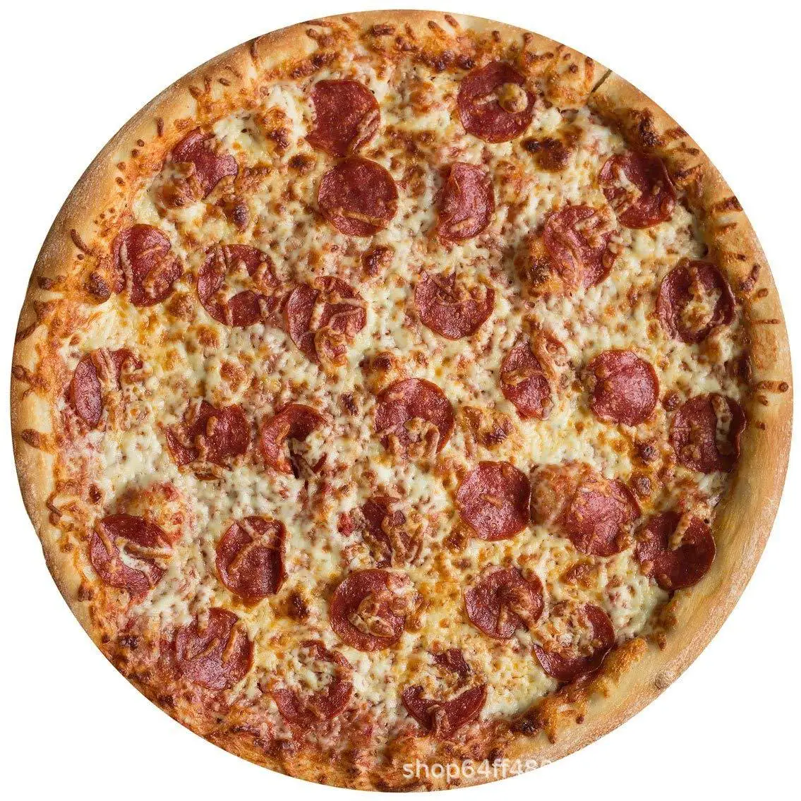 Soft and Cozy Realistic Food Novelty Blanket Fleece Pizza Throw Blanket Round Tortilla Throws Blanket