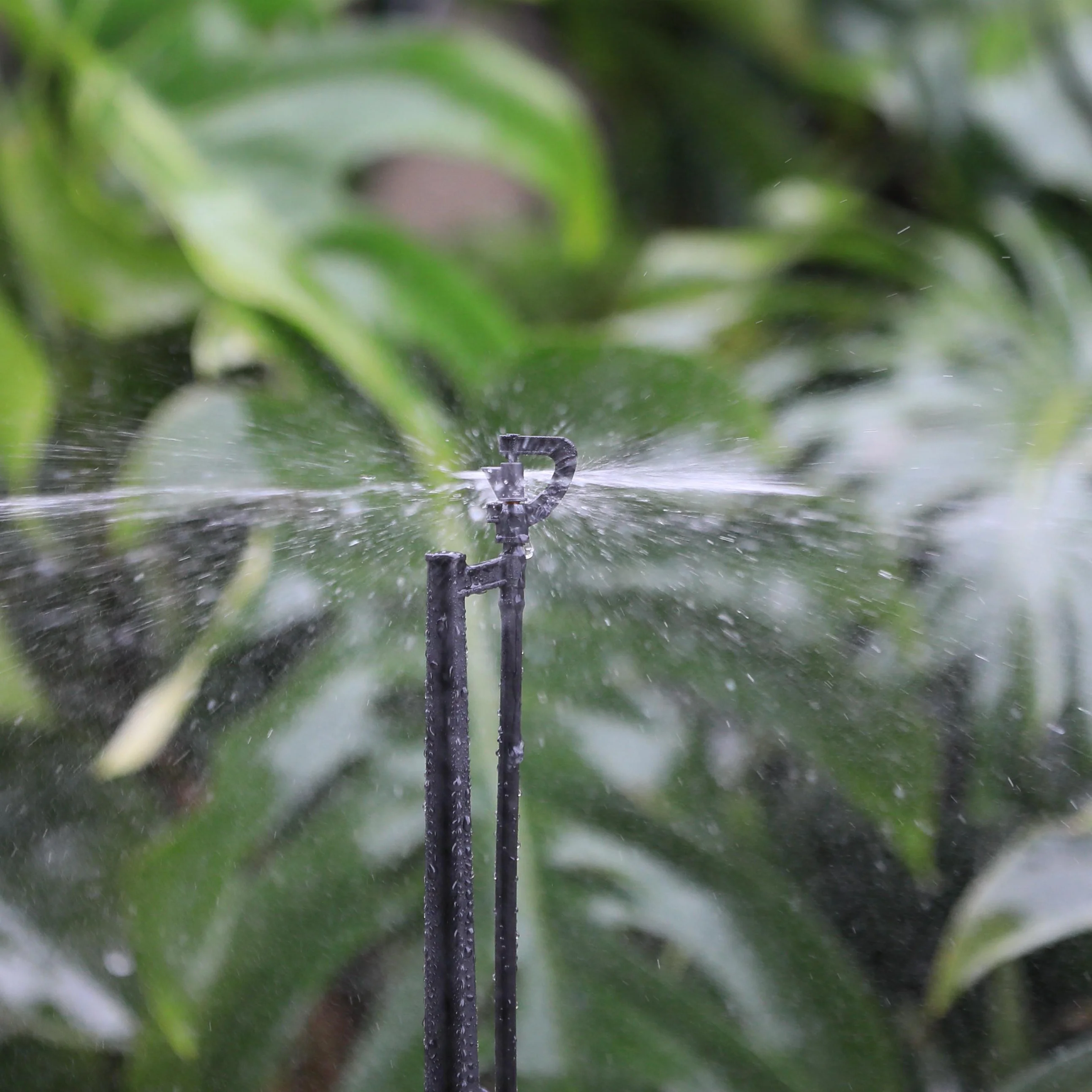 G Type Triangle Tire Agriculture And Forestry Irrigation Rotary Micro Sprinkler