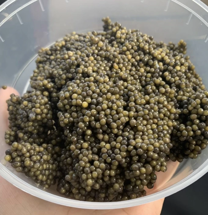 Sashimi Caviar Ready-to-eat fresh Sashimi Hotel Wholesale caviar Commercial home source Factory Straight hair