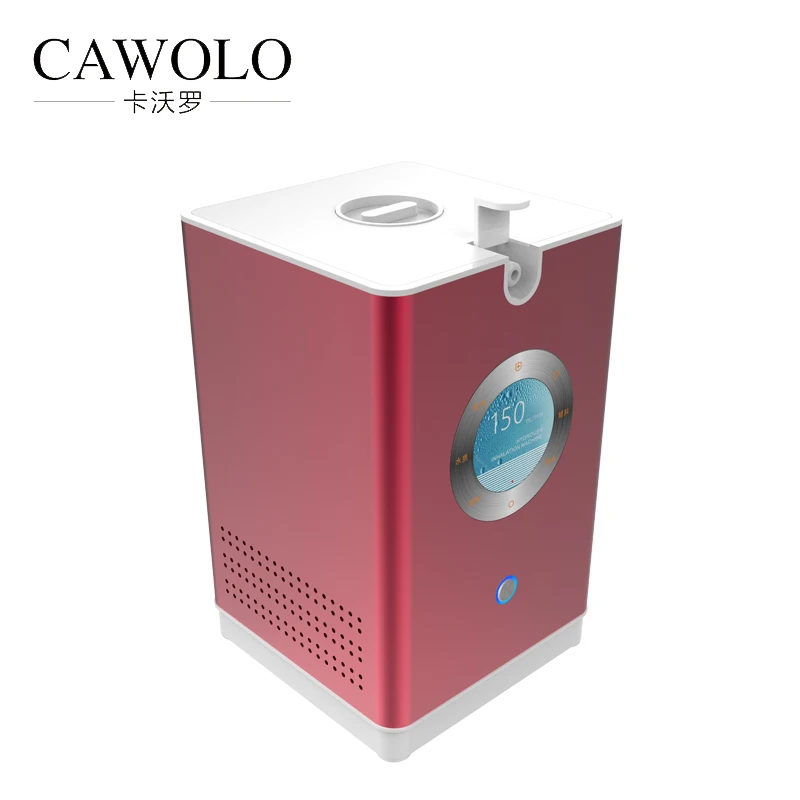 Poland most popular household h2 pem fuel cell price of hydrogen gas generator 150/200/300ml