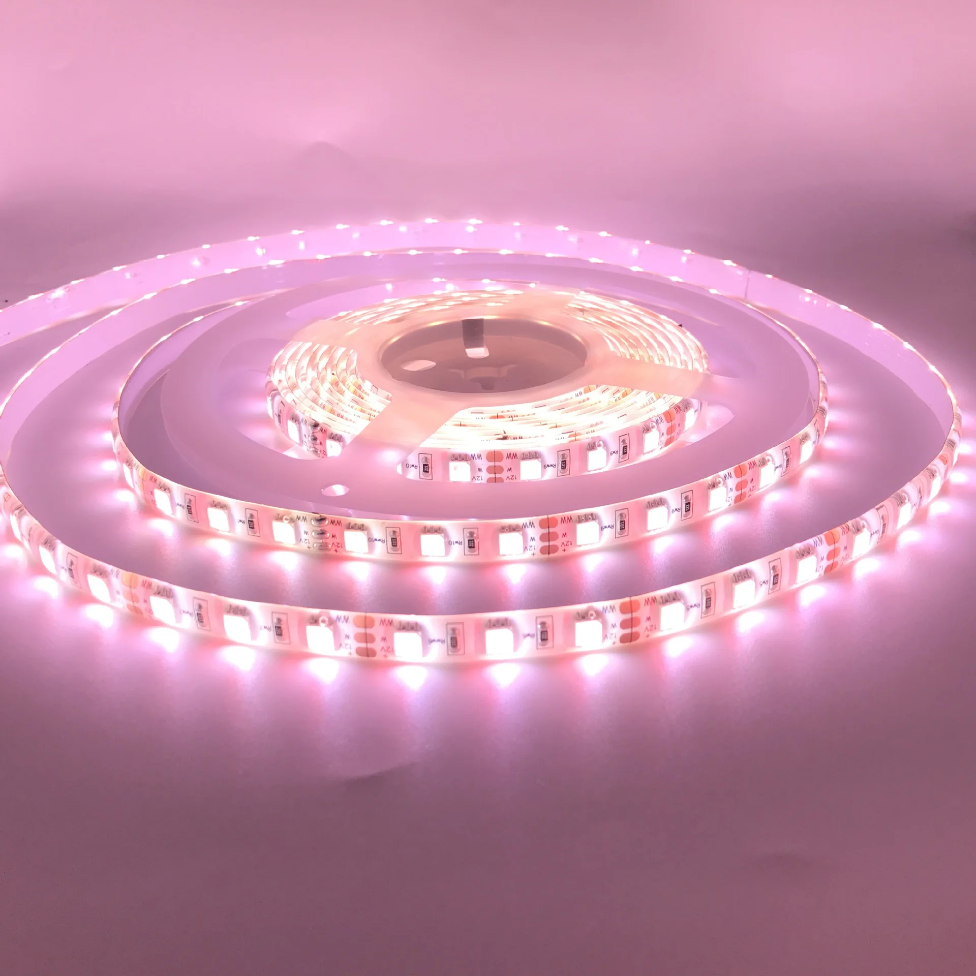 wholesale 5050 smart strip lights app wifi led light strip 12V 5M Outdoor Flexible Flex for tv