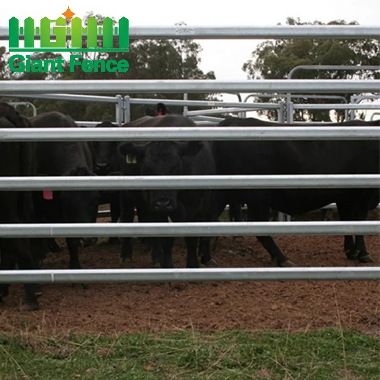 Galvanized good quality cattle farm yard cattle equipment cattle panels fence