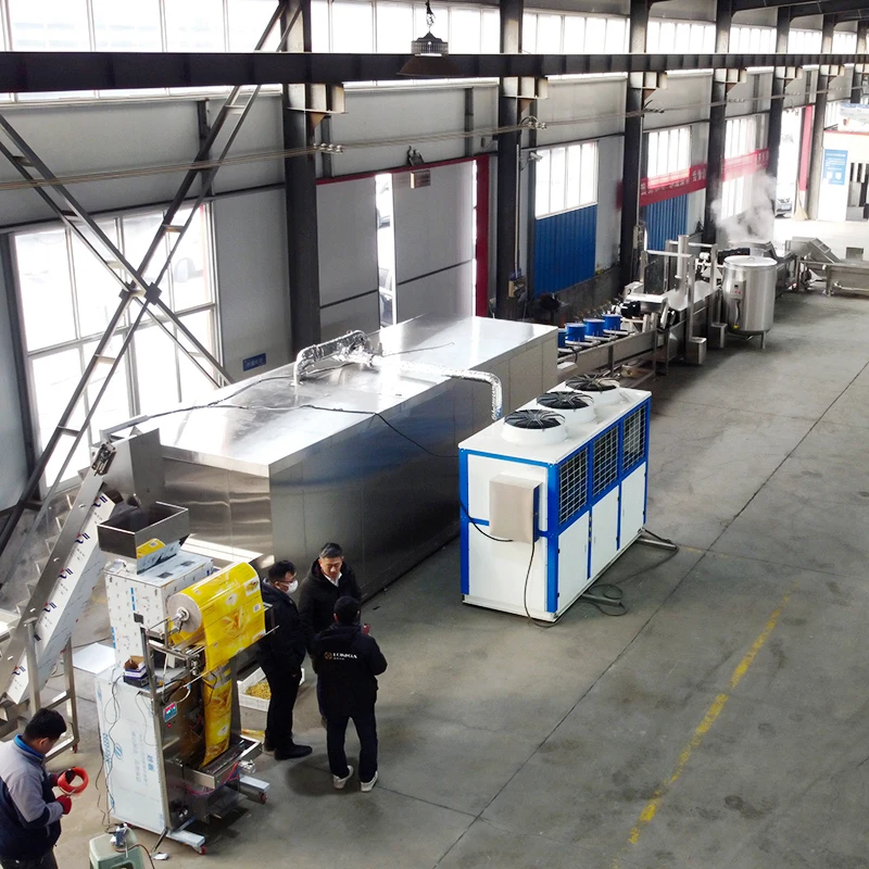 Среднего размера замороженный картофель фри картофельный пилинг машина для жарки средний размер производственная линия