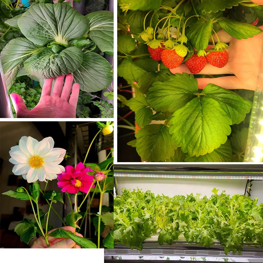 t8 led grow lights tube 660nm red 440nm blue for hydroponic indoor plants