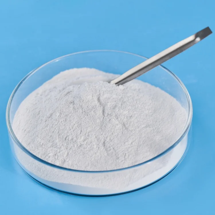 Sodium Dichloroisocyanurate (sdic) 56% 60% Efervecent Tablets 3.3grams Fast Dissolving Tablet 3.3g Cas 2893-78-9