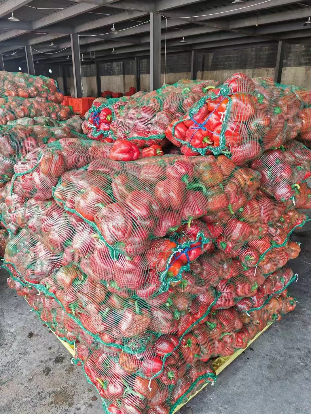 Professional Factory  Iqf Frozen Vegetable  Red Pepper Dice Slice  Frozen Red Pepper Dices