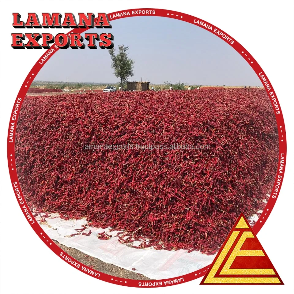 
Guntur Bright Dry Red Chilli Byadgi with Stem India Chilli Deluxe Quality 