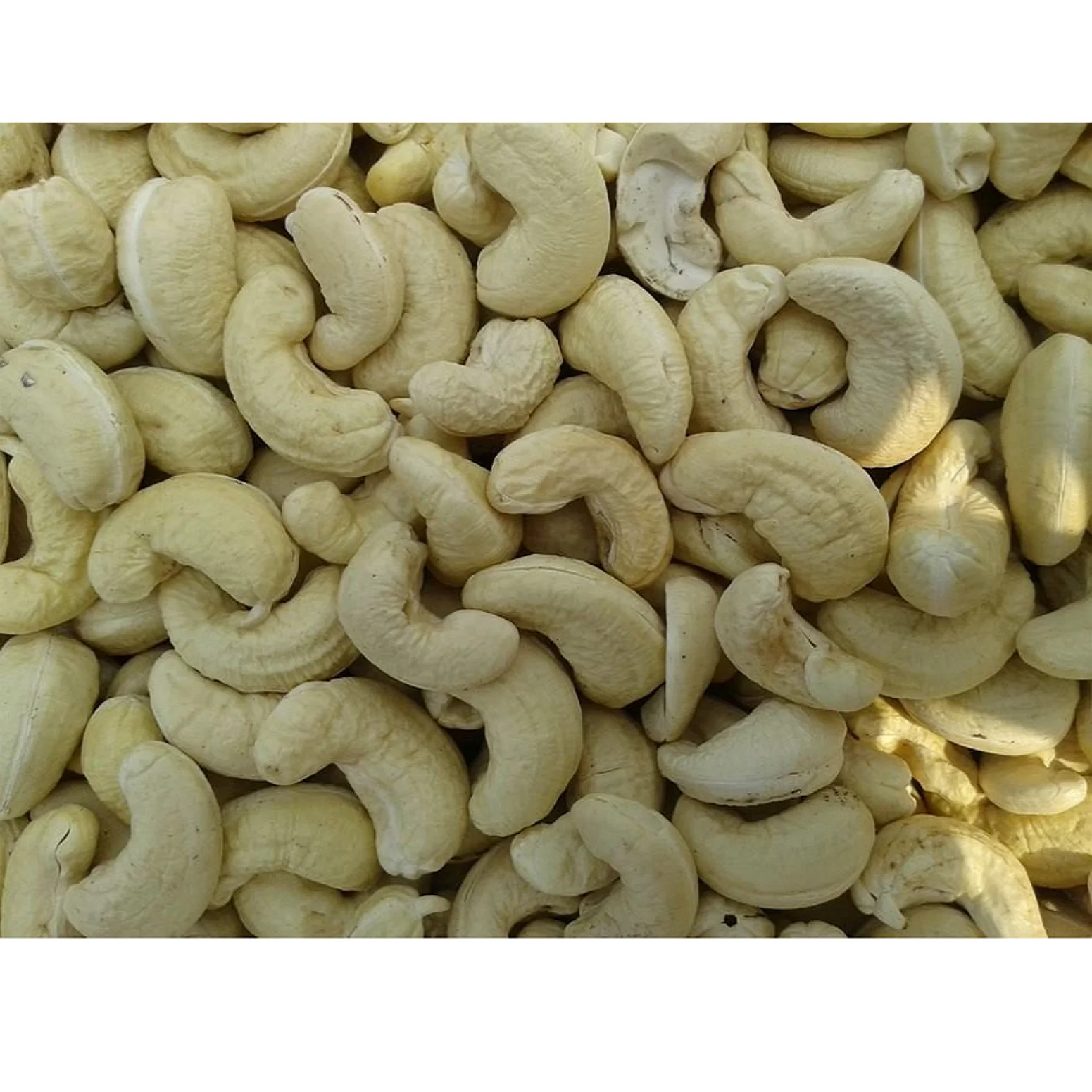 Cashew kernel from Vietnam - High quality - Competitive Price