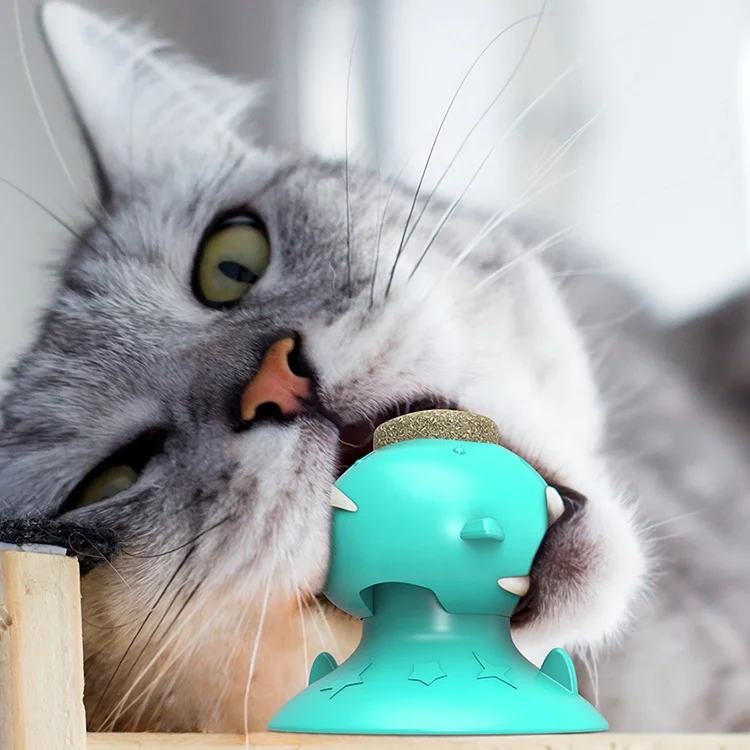  Promotional Multifunctional Cat Toys Teeth Cleaning Natural Catnip With Suction Cup For