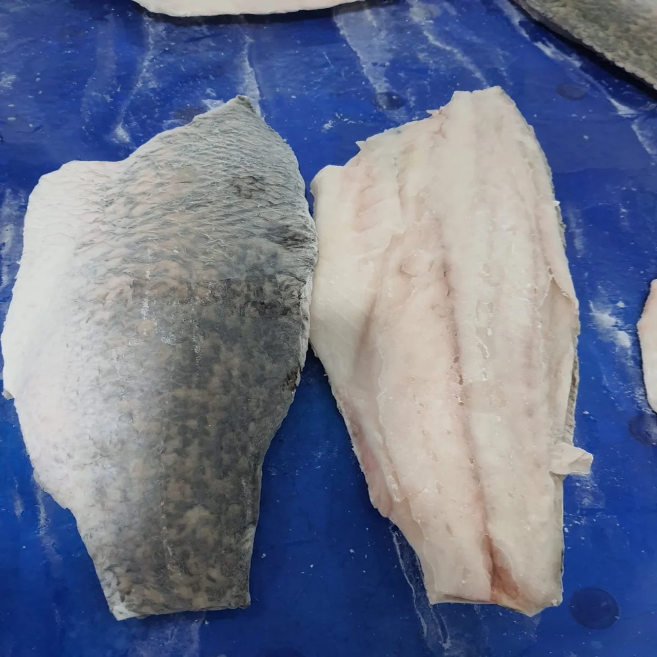Viet Nam barramundi fillet and barramundi, good supplier