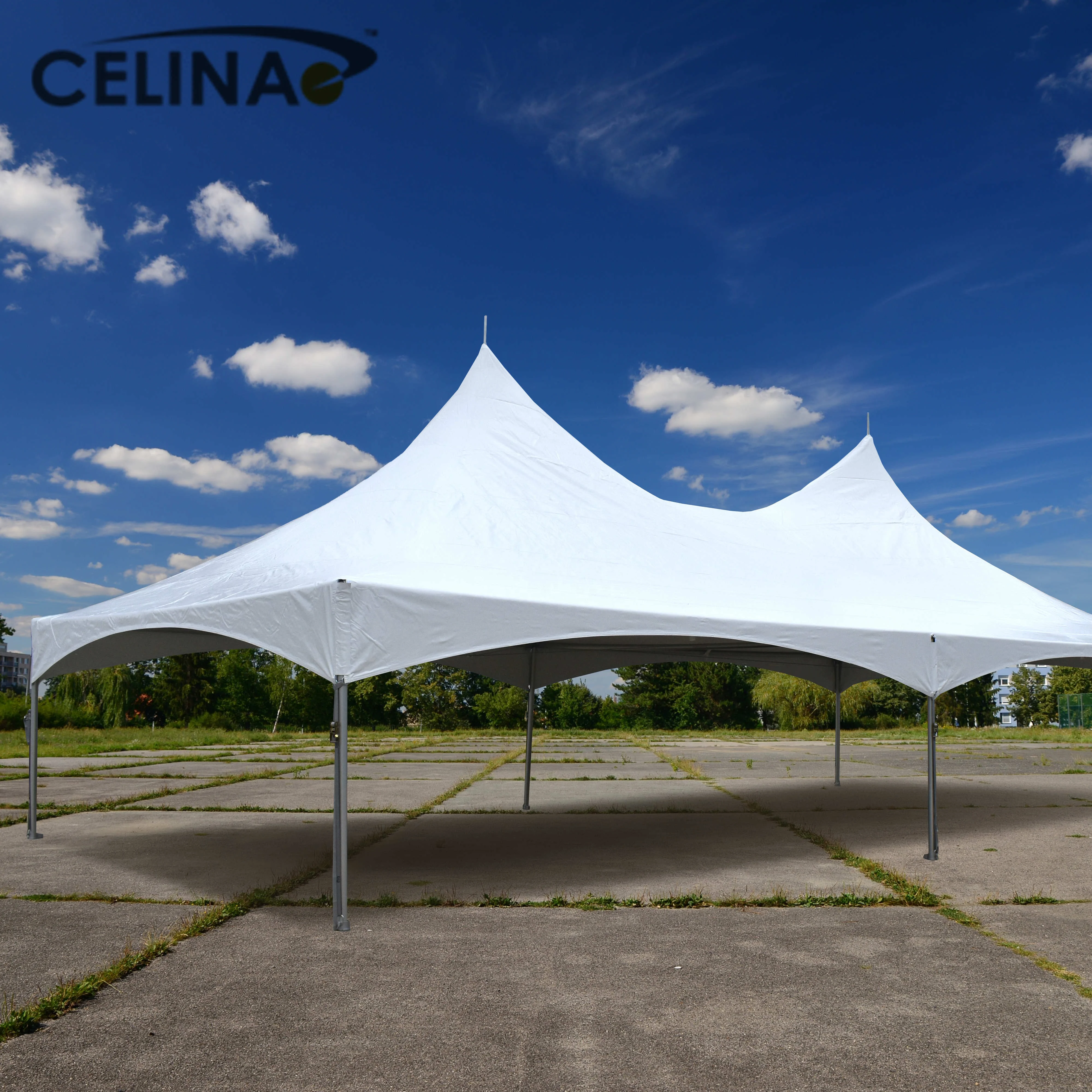 15 'x 30' роскошный шатер для торговой выставки, всесезонный шатер с рамкой в виде пагоды, шатер