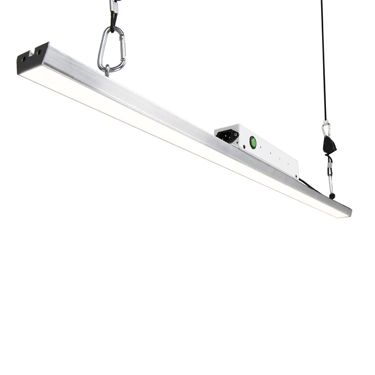 Cf Grow 1 Bar 3500k 140pcs Lm301b Led Grow Light Phyto Grow Lamp for Indoor Grow Hydroponics Plant