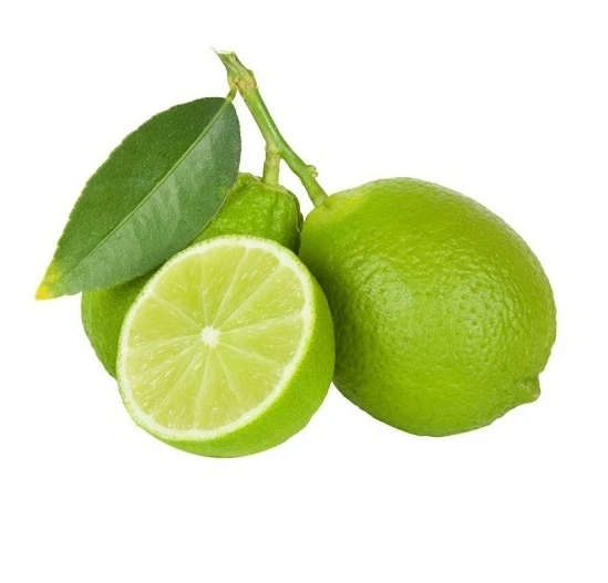 Top Sale Natural Citrus Fruit Fresh Seedless Lemon/ Seedless Lime From Vietnam For Cooking Or Drinking